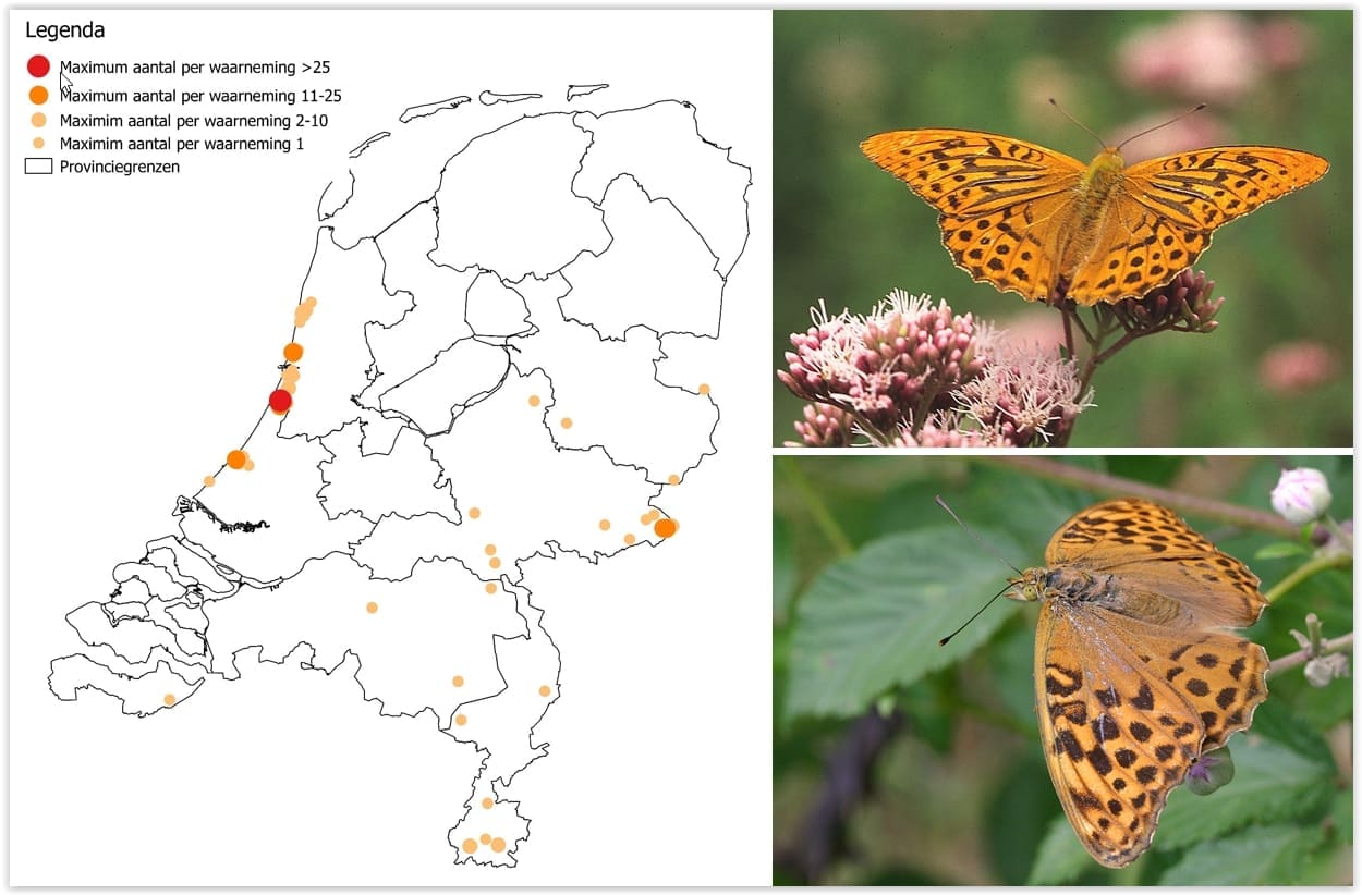 Kars Veling, kaartje: NDFF